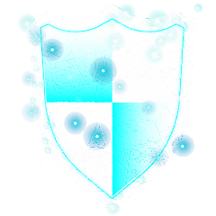 shield icon